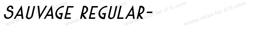 Sauvage Regular字体转换